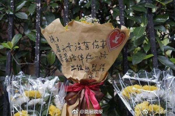 星空平台手机版